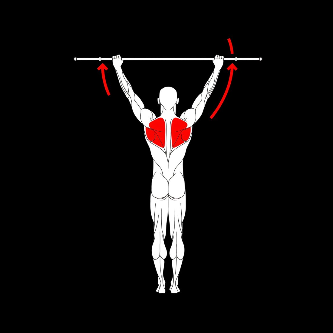 Схема: палка над головой, развороты плечами